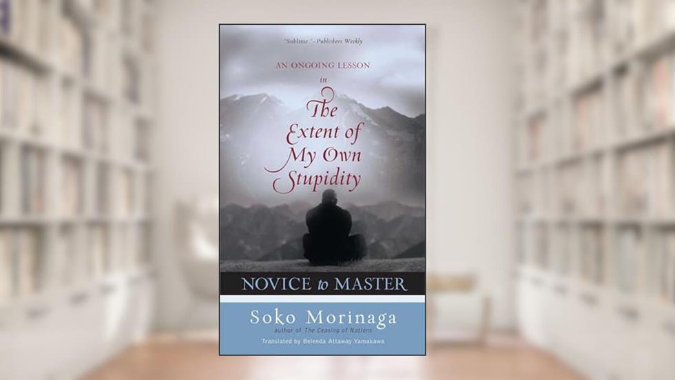 Novice to Master: An Ongoing Lesson in the Extent of My Own Stupidity, written by Soko Morinaga
