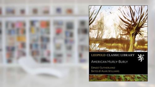 Cover from American Hurly-Burly, written by Ernest Sutherland Bates