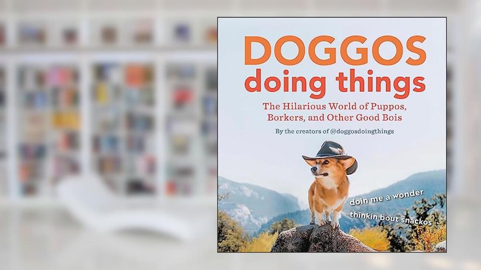 Doggos Doing Things: The Hilarious World of Puppos, Borkers, and Other Good Bois, written by Creators of @doggosdoingthings
