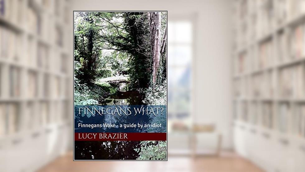 Finnegans What?: Finnegans Wake - a guide by an idiot, written by Lucy Brazier