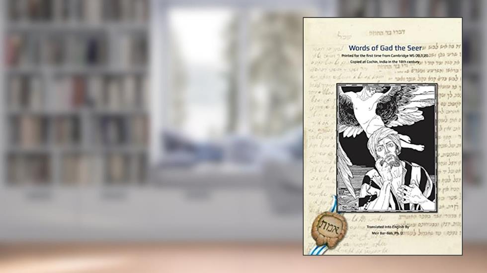 Words of Gad the Seer: Words of Gad the Seer, written by Meir Bar-Ilan Ph.D.