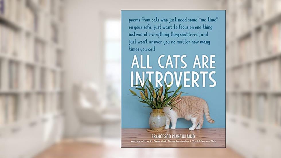 All Cats Are Introverts, written by Francesco Marciuliano