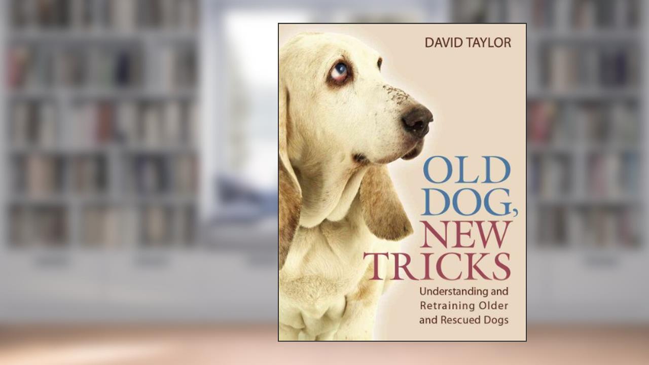 Old Dog, New Tricks: Understanding and Retraining Older and Rescued Dogs, written by David Taylor
