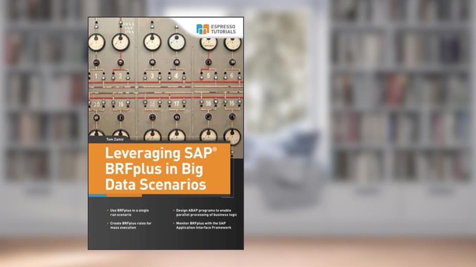 Leveraging SAP BRFplus in Big Data Scenarios, written by Tom Zamir