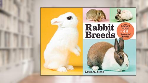 Cover from Rabbit Breeds: The Pocket Guide to 49 Essential Breeds, written by Lynn M. Stone