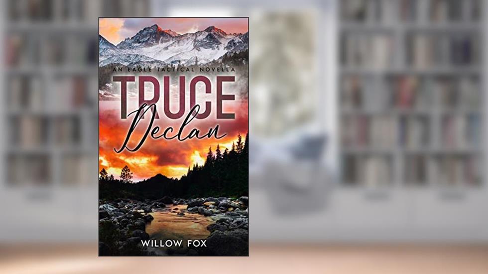 Truce: Declan: An Eagle Tactical Novella, written by Willow Fox