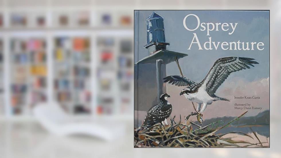 Osprey Adventure, written by Jennifer Keats Curtis