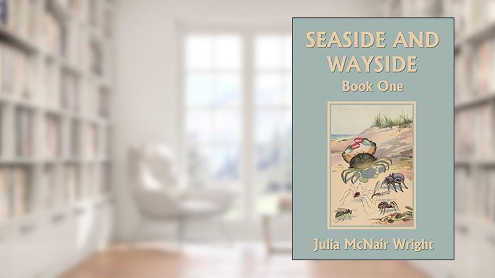 Seaside and Wayside, Book One (Yesterday's Classics), written by Julia McNair Wright