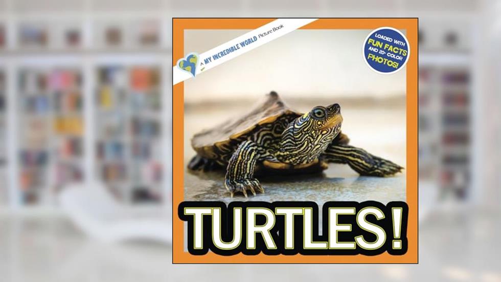 Turtles!: A My Incredible World Picture Book for Children (My Incredible World: Nature and Animal Picture Books for Children), written by My Incredible World; Hope Aicher