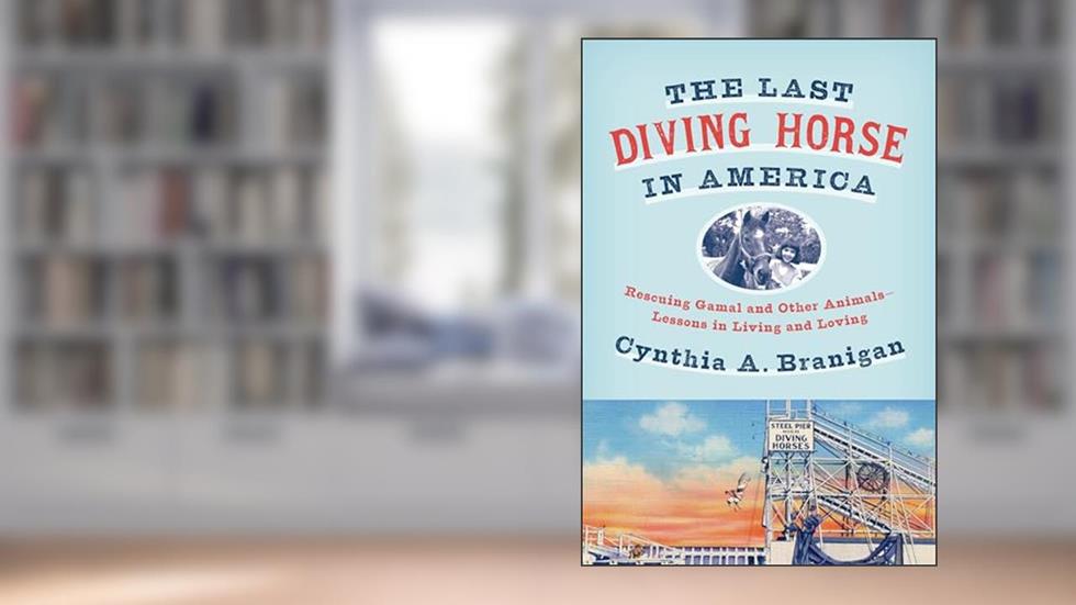 The Last Diving Horse in America: Rescuing Gamal and Other Animals--Lessons in Living and Loving, written by Cynthia A. Branigan