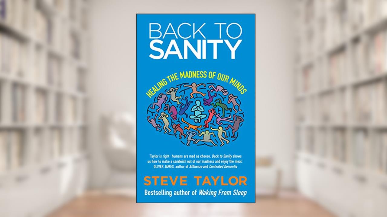 Back to Sanity: Healing the Madness of Our Minds, written by Steve Taylor