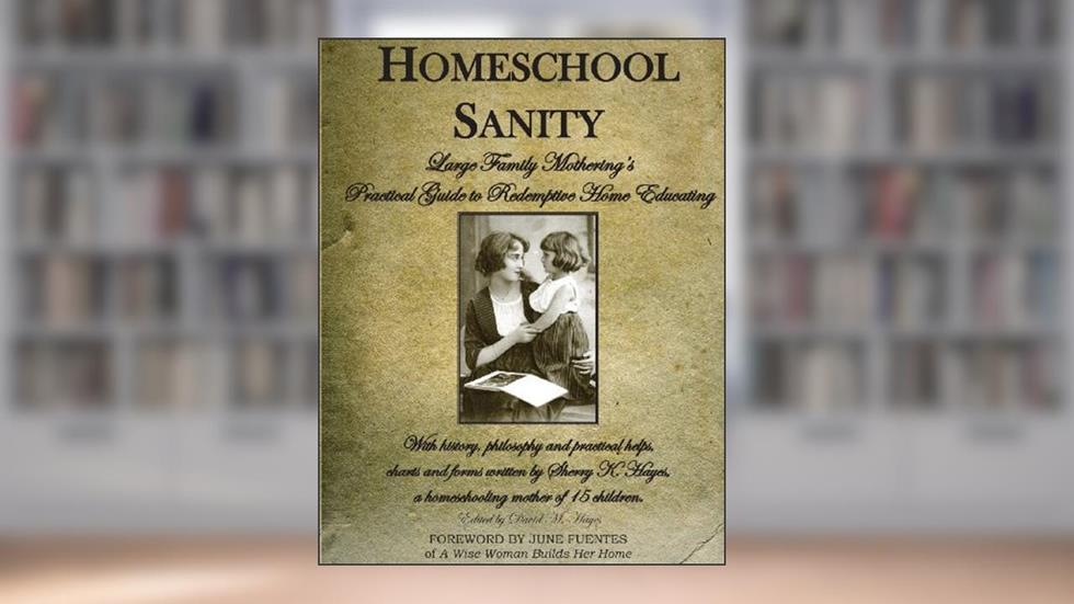 Homeschool Sanity: A Practical Guide to Redemptive Home Educating, written by Sherry K. Hayes