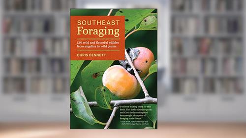 Cover from Southeast Foraging: 120 Wild and Flavorful Edibles from Angelica to Wild Plums (Regional Foraging Series), written by Chris Bennett