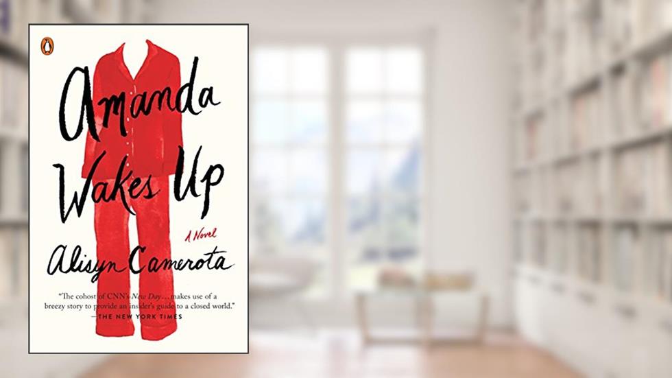 Amanda Wakes Up: A Novel, written by Alisyn Camerota