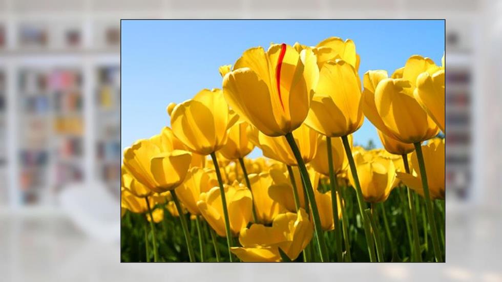 Distorted, written by Brandon Huff