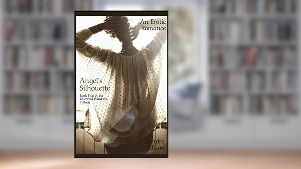 Angel's Silhouette: Book Two in the Distorted Windows Trilogy (The Vanderbrooke Universe 2), written by Zondra Allison