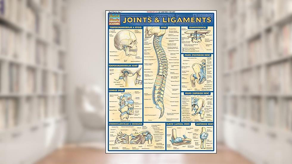 Joints & Ligaments QuickStudy Laminated Reference Chartce (QuickStudy Academic), written by Vincent Perez