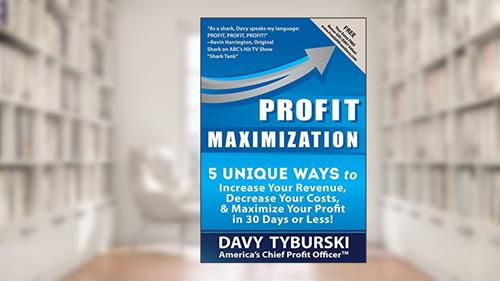 Cover from Profit Maximization: 5 Unique Ways to Increase Your Revenue, Decrease Your Costs, and Maximize Your Profit in 30 Days or Less!, written by Davy Tyburski