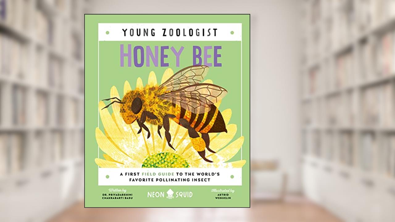 Honey Bee (Young Zoologist): A First Field Guide to the World's Favorite Pollinating Insect, written by Priyadarshini Chakrabarti Basu; Neon Squid