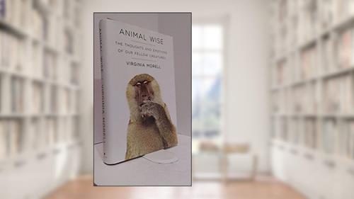 Cover from Animal Wise: The Thoughts and Emotions of Our Fellow Creatures, written by Virginia Morell