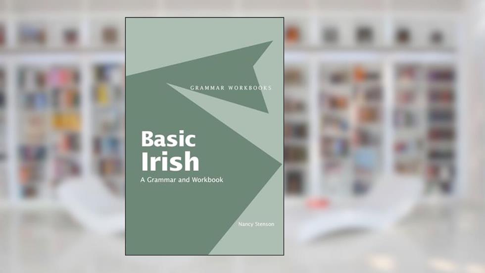 Basic Irish: A Grammar and Workbook (Routledge Grammar Workbooks), written by Nancy Stenson