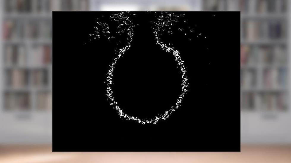 Discarding Descartes (Le Pen's philosophy book. Book 6), written by Le Pen