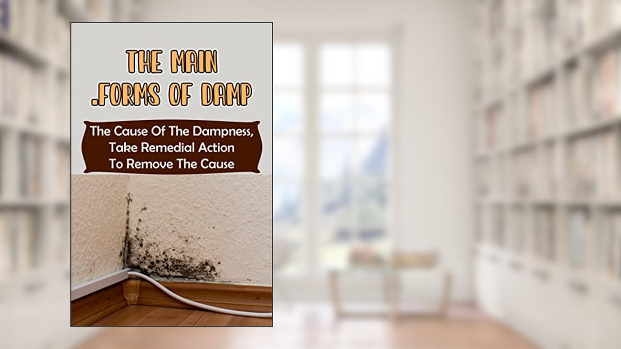 The Main Forms Of Damp: The Cause Of The Dampness, Take Remedial Action To Remove The Cause, written by Theodore Cocherell
