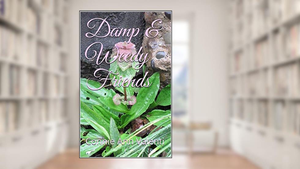 Damp & Weedy Friends (The Artsy Lady's Children's Songbook Series 2), written by Connie Ann Valenti