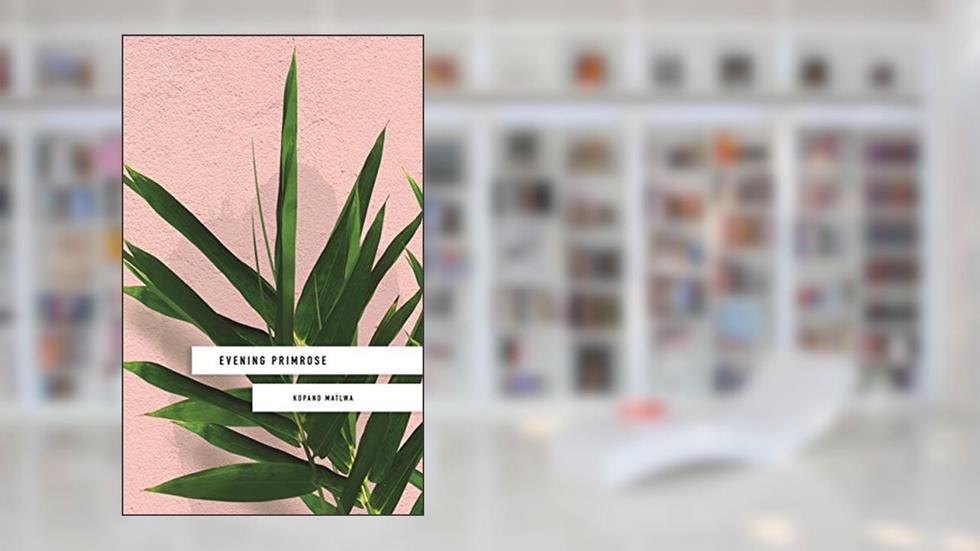 Evening Primrose: a heart-wrenching novel for our times, written by Kopano Matlwa