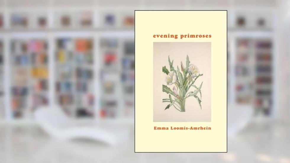 evening primroses, written by Emma Loomis-Amrhein