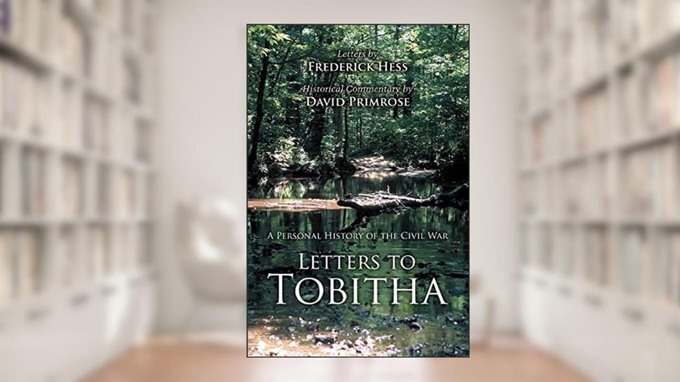 Letters to Tobitha: A Personal History of the Civil War, written by David Primrose
