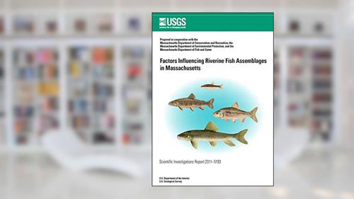 Cover from Factors Influencing Riverine Fish Assemblages in Massachusetts, written by U.S. Department of the Interior