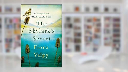 Cover from The Skylark's Secret, written by Fiona Valpy