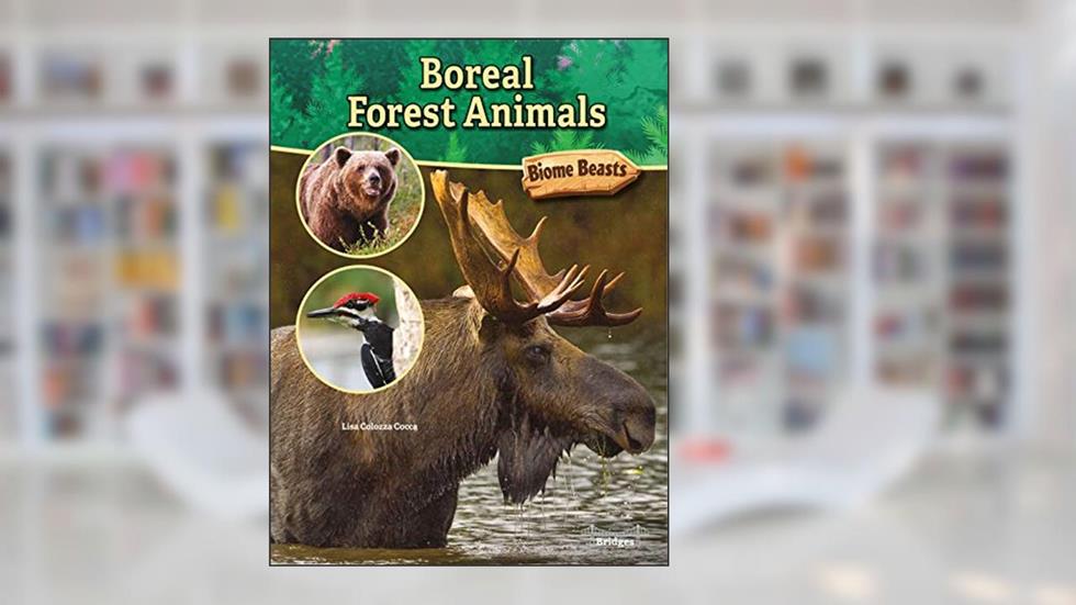 Rourke Educational Media Bridges Boreal Forest Animals (Biome Beasts), written by Lisa Colozza Cocca