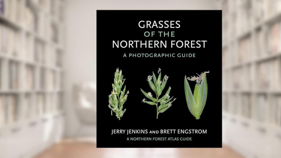 Grasses of the Northern Forest: A Photographic Guide (The Northern Forest Atlas Guides), written by Jerry Jenkins; Brett Engstrom