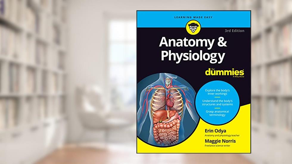 Anatomy & Physiology For Dummies (For Dummies (Math & Science)) (For Dummies (Lifestyle)), written by Erin Odya; Maggie A. Norris