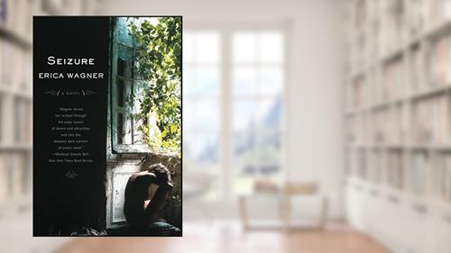Cover from Seizure: A Novel, written by Erica Wagner