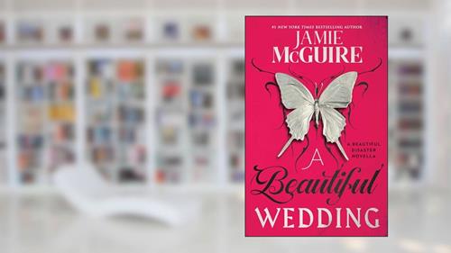 Cover from A Beautiful Wedding: A Beautiful Disaster Novella (Beautiful Disaster Series), written by Jamie McGuire