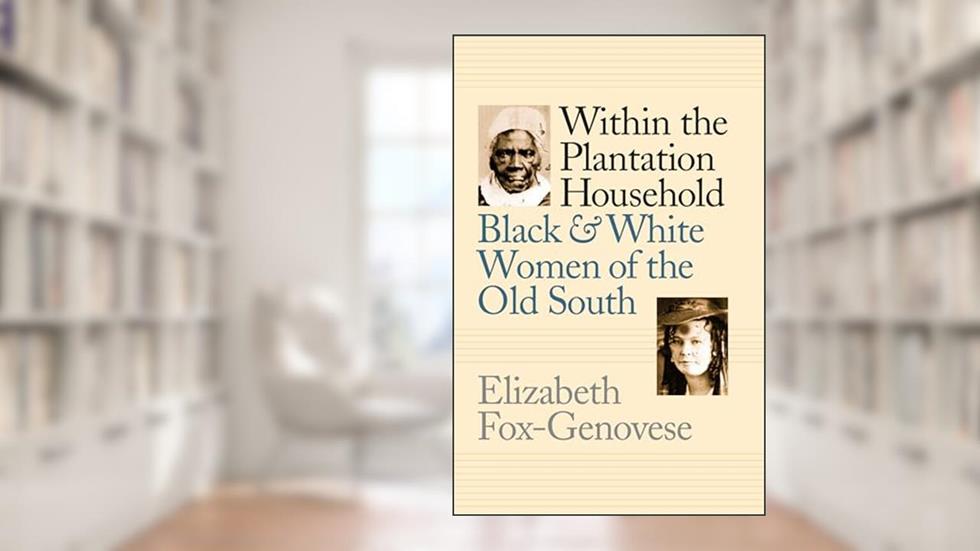 Within the Plantation Household: Black and White Women of the Old South (Gender and American Culture), written by Elizabeth Fox-Genovese