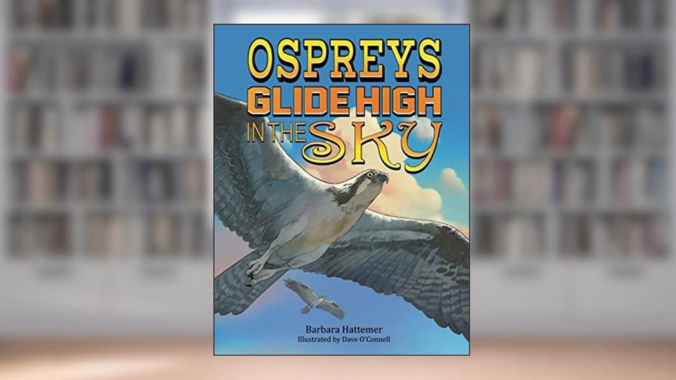 Ospreys GLide High In The Sky, written by Barbara Hattemer