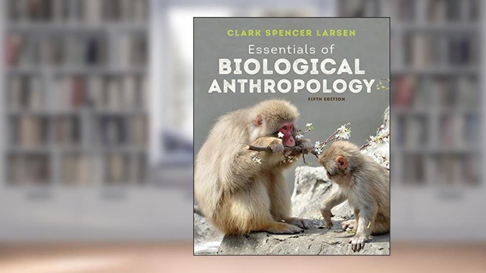 Essentials of Biological Anthropology, written by Clark Spencer Larsen