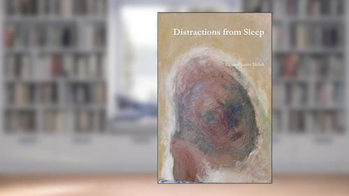 Cover from Distractions from Sleep: Volume 1 of Furtive and Bearable Cessation, written by Richard James Mehdi