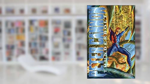 Cover from Peter Cannon: Thunderbolt Omnibus (2012-2013), written by Alex Ross; Steve Darnall; Pete Morisi