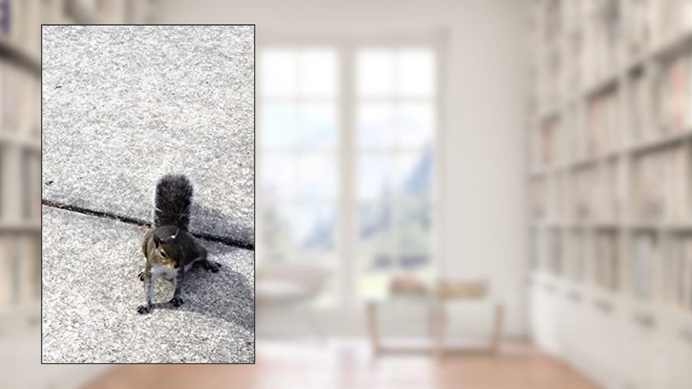 A Small Stockpile Of Photos, written by Mark Mundus