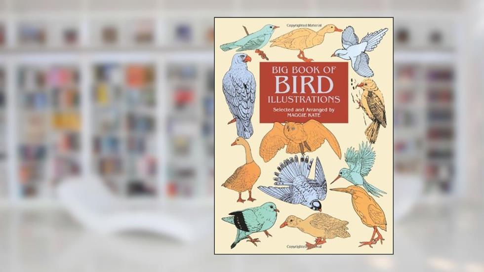 Big Book of Bird Illustrations (Dover Pictorial Archive), written by Maggie Kate