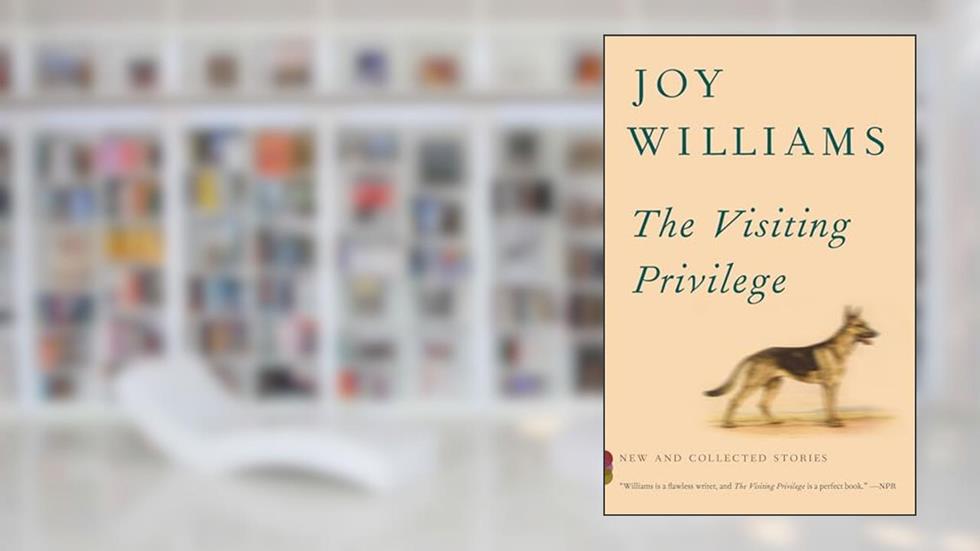 The Visiting Privilege: New and Collected Stories (Vintage Contemporaries), written by Joy Williams