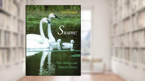 Cover from Swans: Their Biology and Natural History, written by Paul Johnsgard