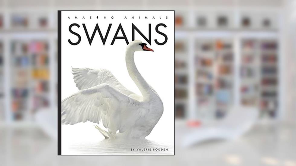 Swans (Amazing Animals), written by Valerie Bodden