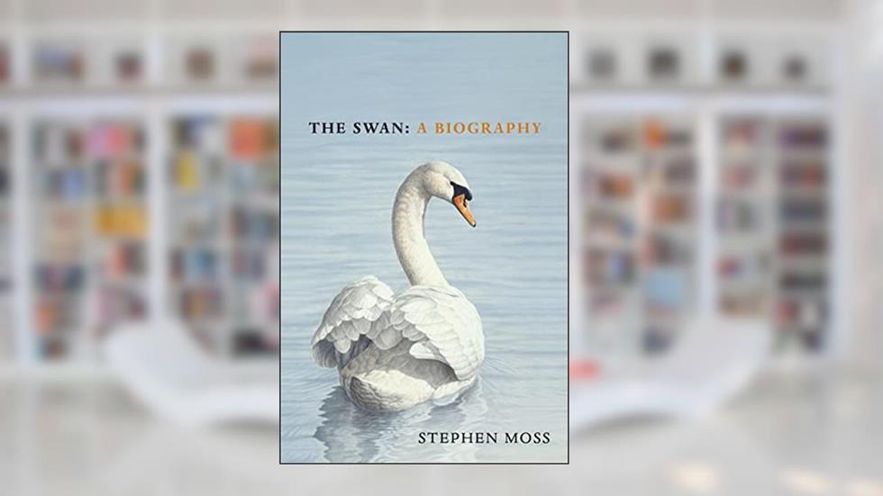 The Swan, written by Stephen Moss
