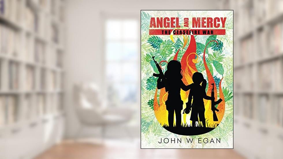 Angel and Mercy: The Ceasefire War, written by John W Egan